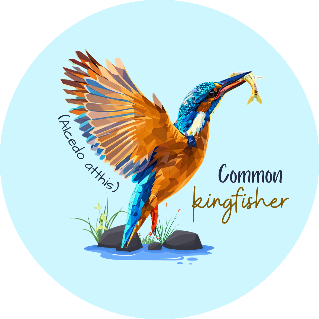 Common Kingfisher Hunting Wildlife Badge bird pin 2