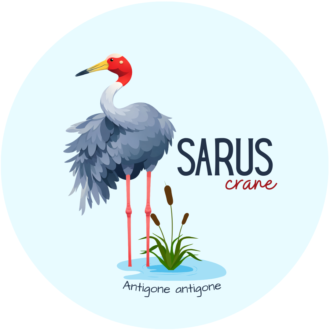 Sarus Crane Metal Pin Badge2