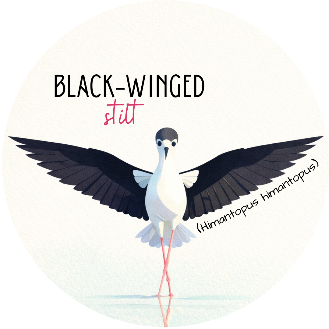 Black-Winged Stilt Pin Badge wildlife metal badge 2