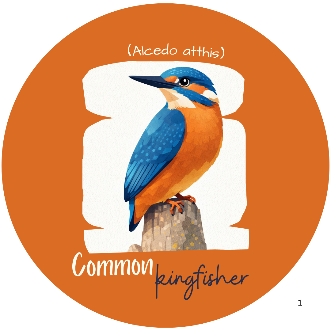 Common Kingfisher Keychain - Image 2