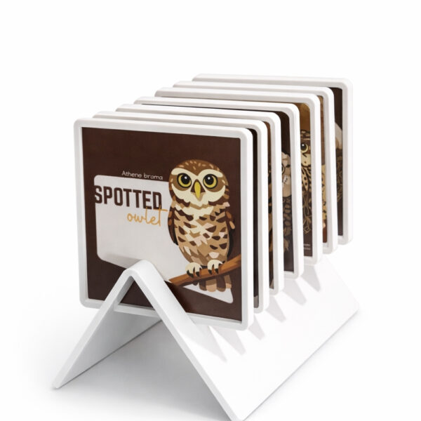 Owl bird acrylic tea coaster set of 6