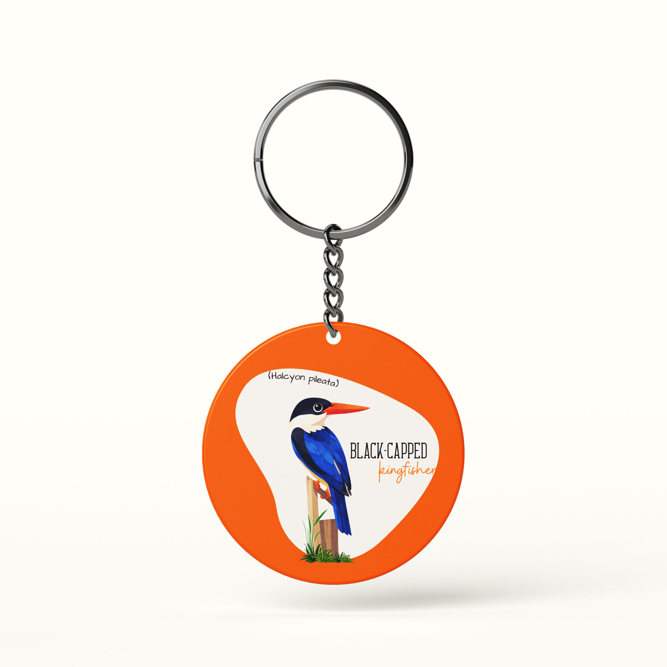 Black-capped Kingfisher Bird Keychain illustration