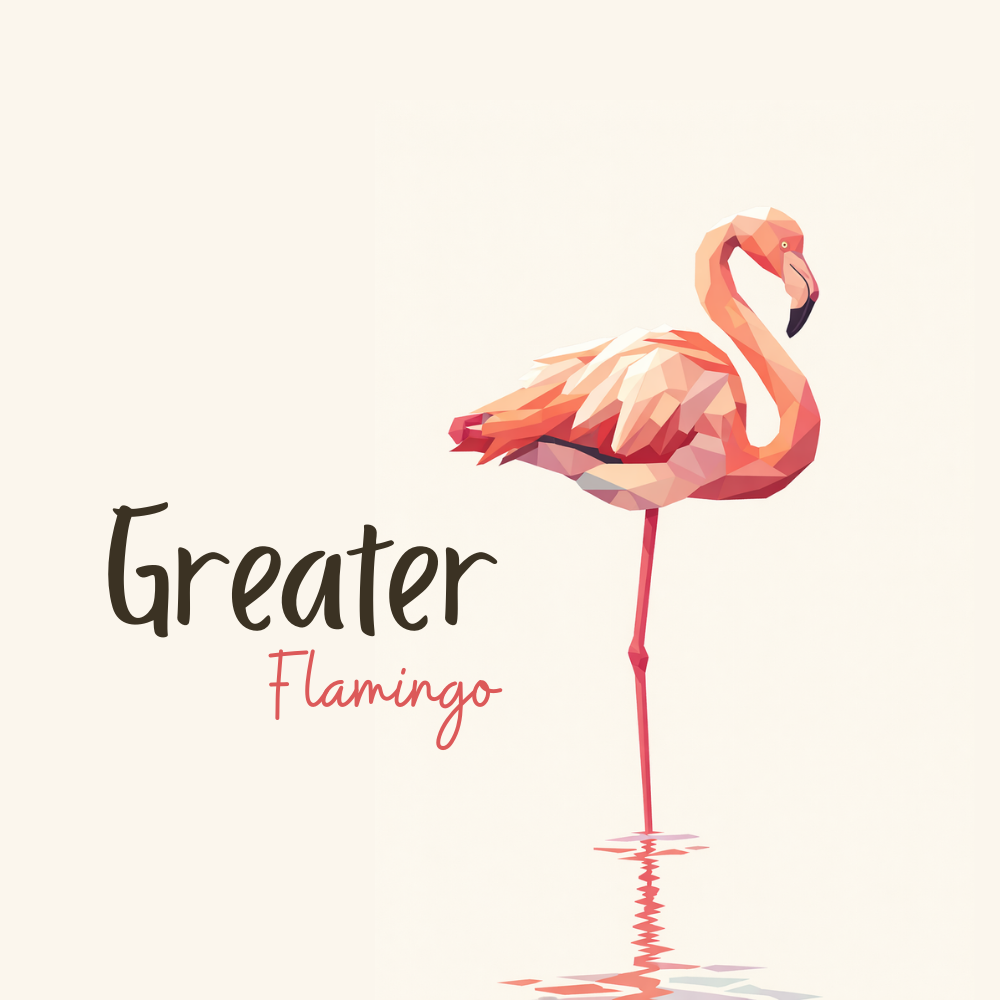 Greater Flamingo Magnet pink flamingo wildlife bird illustration fridge magnet 2