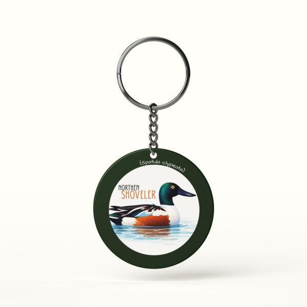 Northern Shoveler Bird Keychain illustration