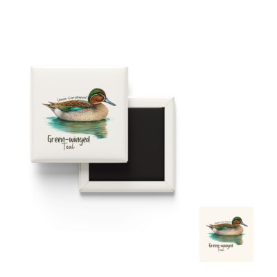 Green Winged Teal fridge magnet wildlife design