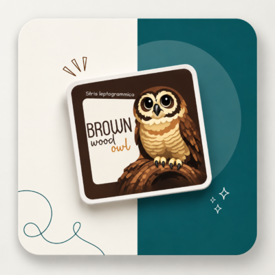 Coasters