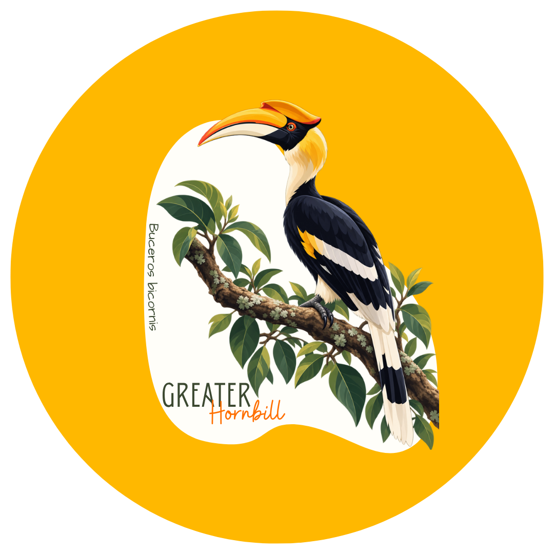 Great Hornbill Bird Pin Badge - Image 2
