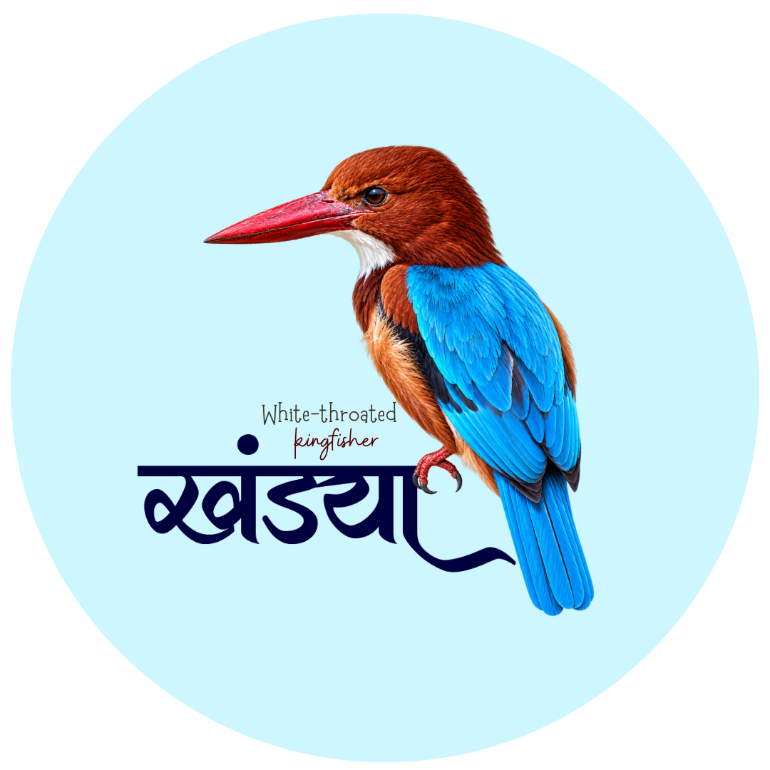 Stork-billed Kingfisher Bird Pin Badge - Image 2