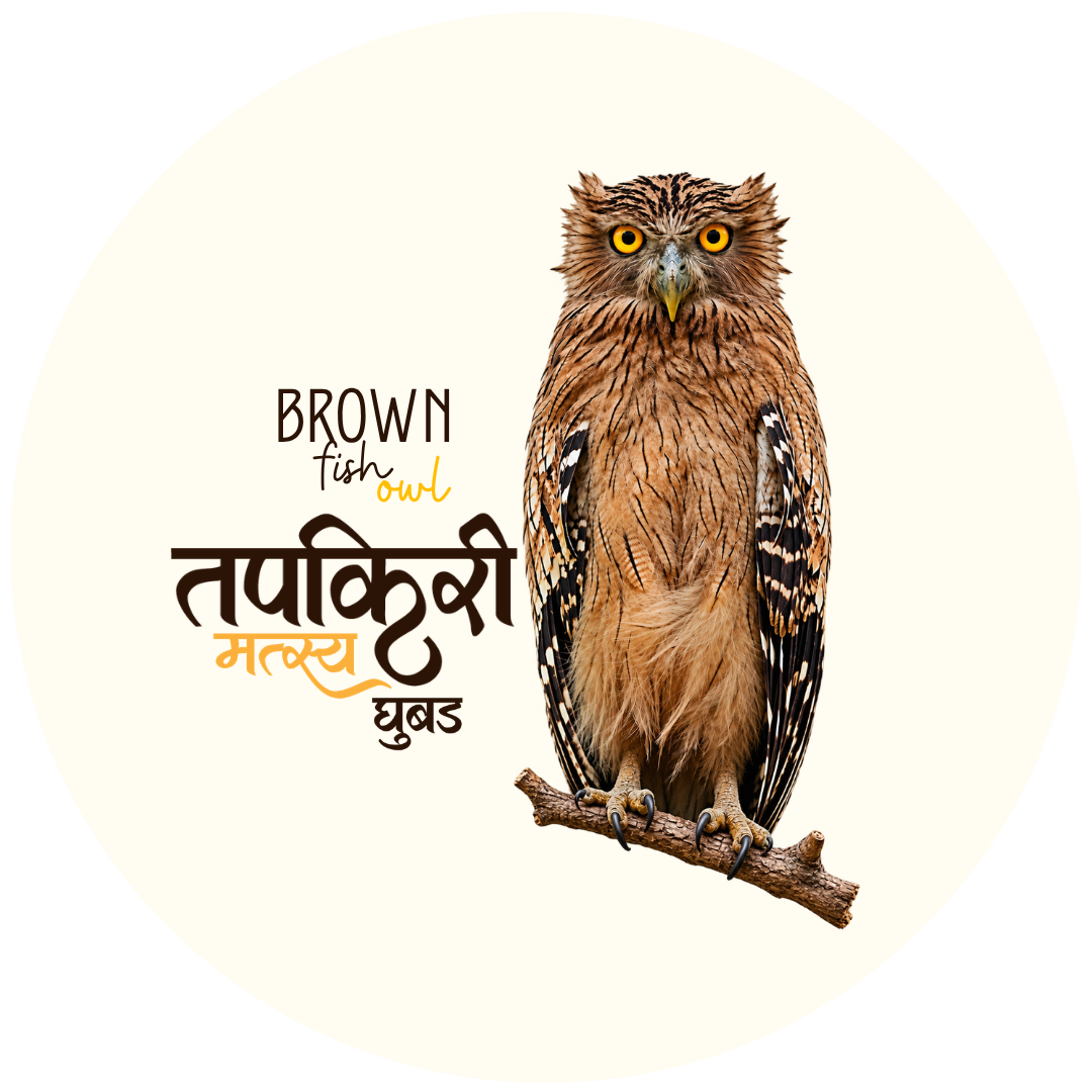 Brown Fish Owl Bird Pin Badge - Image 2
