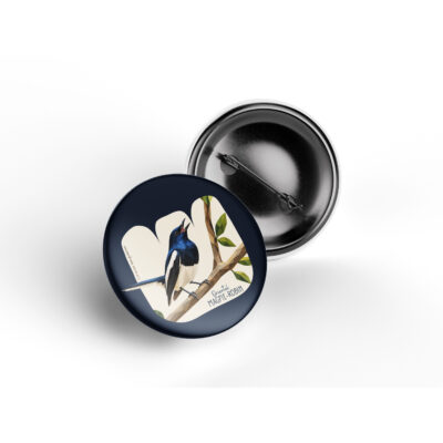 Oriental Magpie-Robin pin badge