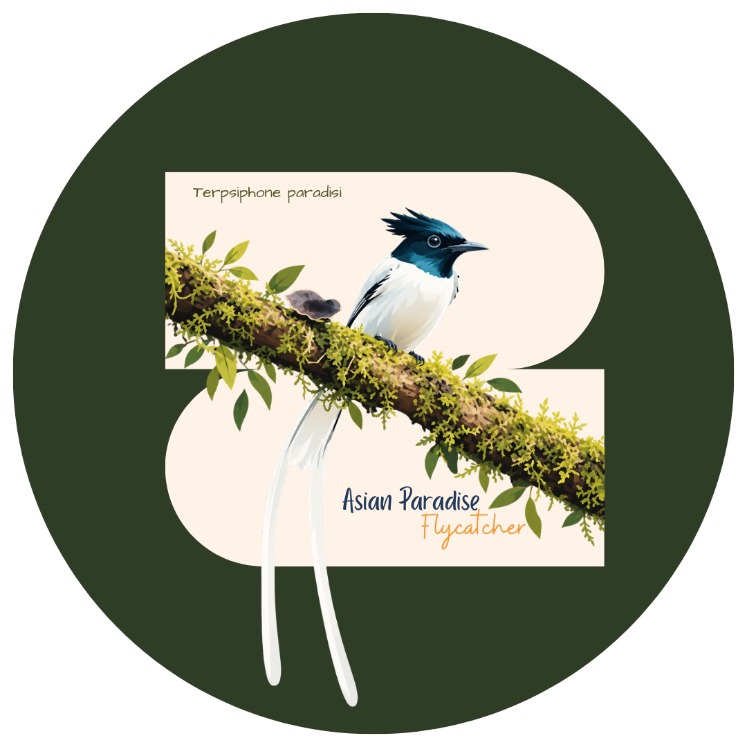 Asian Paradise-Flycatcher Bird Pin Badge - Image 2