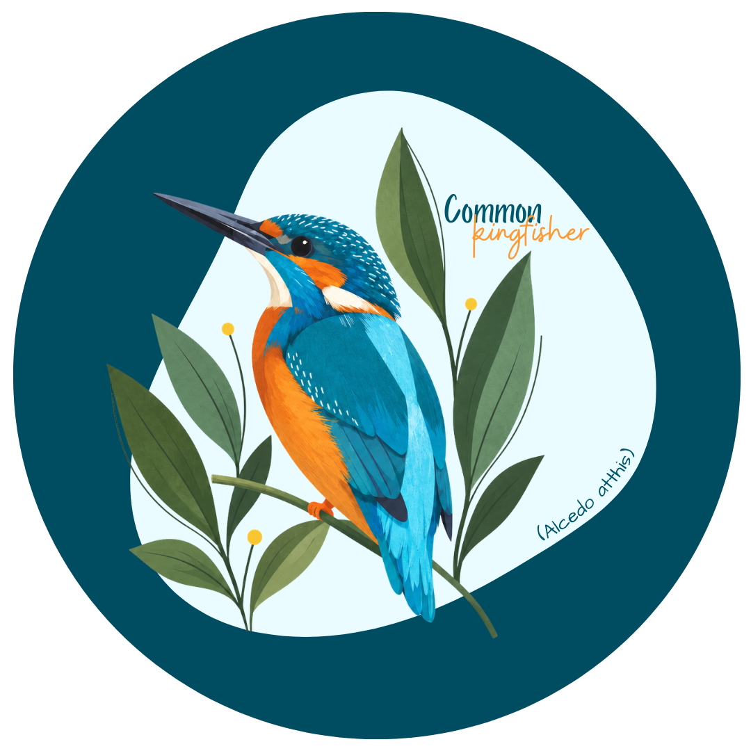 Common Kingfisher Bird Pin Badge - Image 2