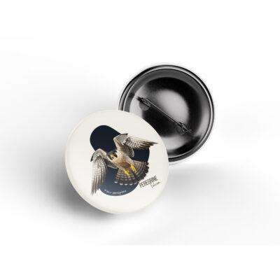 Peregrine Falcon pin badge