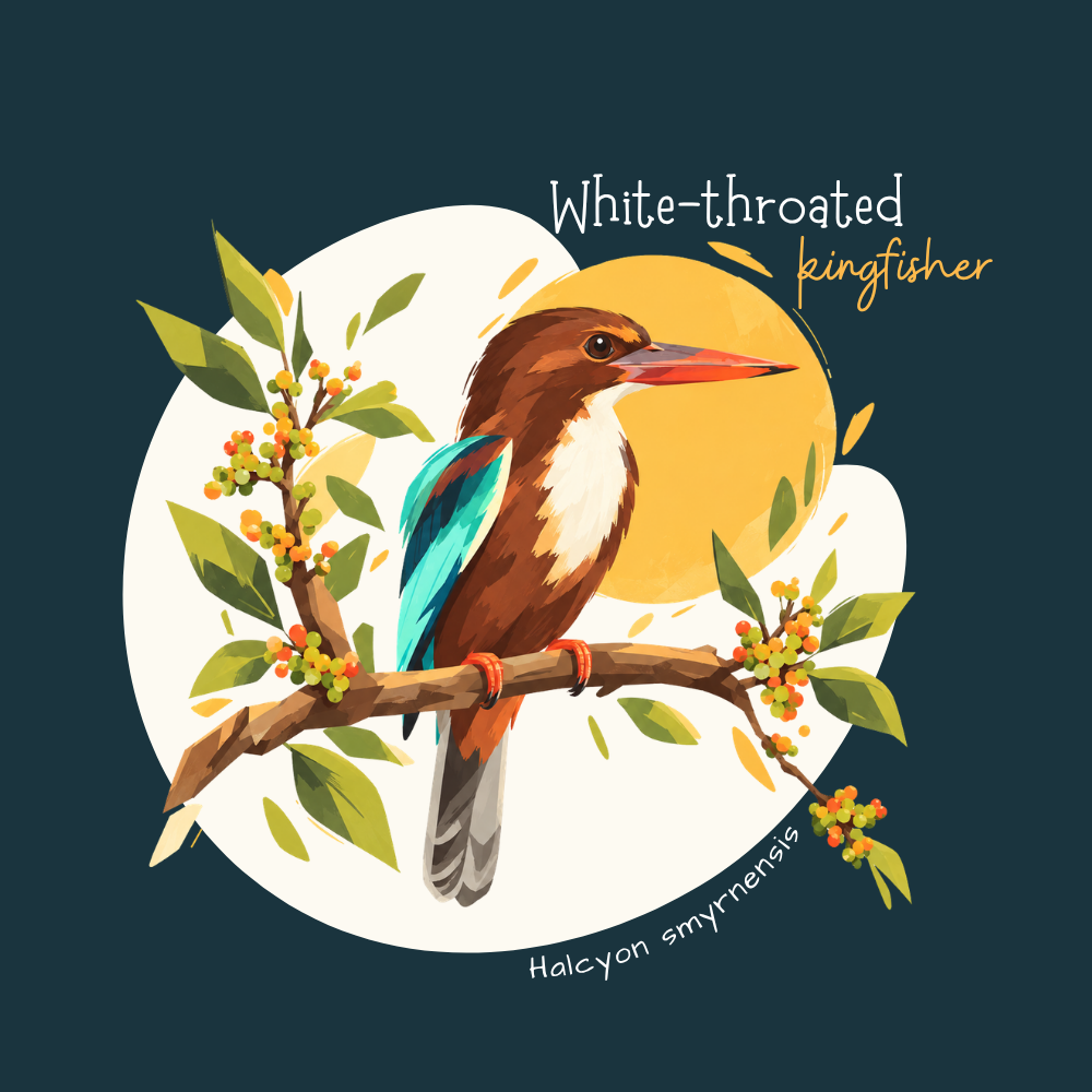 White-throated Kingfisher Fridge Magnet – Wildlife Bird Art - Image 2