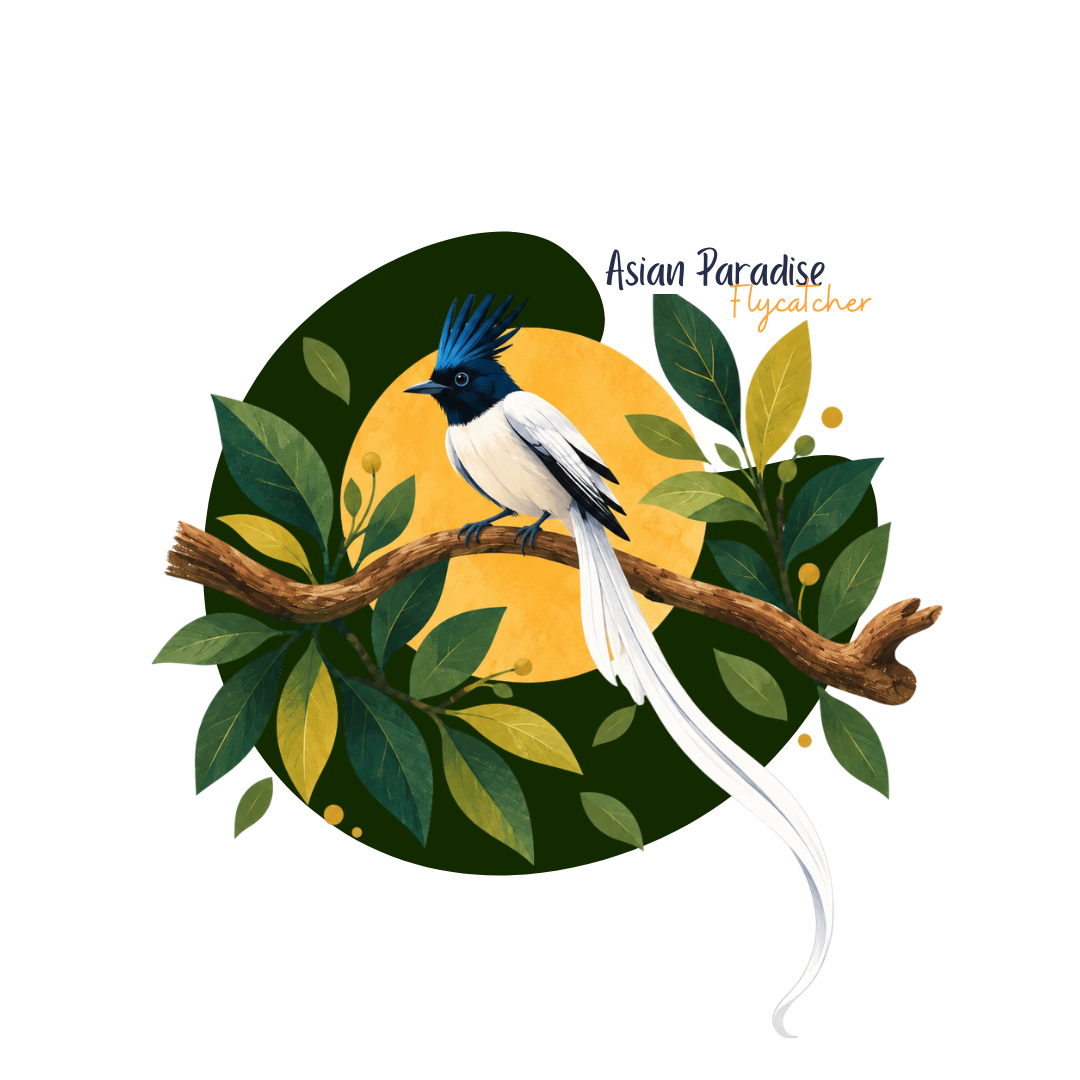 Asian Paradise Flycatcher Tote Bag - Image 2